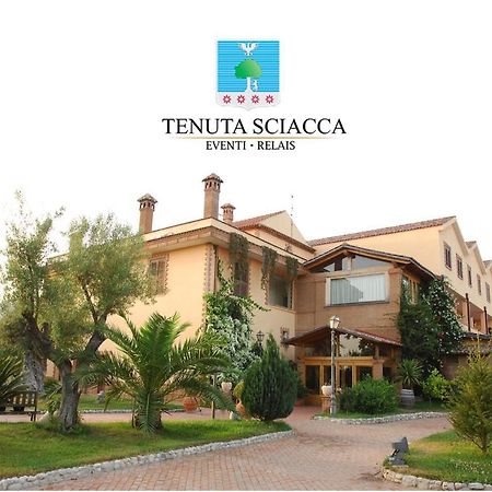 Tenuta Sciacca Villa Falciano del Massico Dış mekan fotoğraf