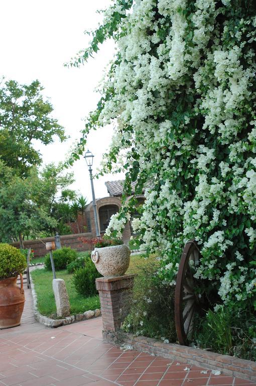 Tenuta Sciacca Villa Falciano del Massico Dış mekan fotoğraf