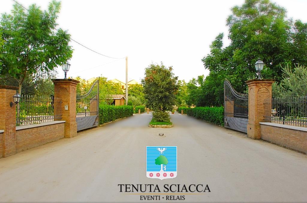 Tenuta Sciacca Villa Falciano del Massico Dış mekan fotoğraf