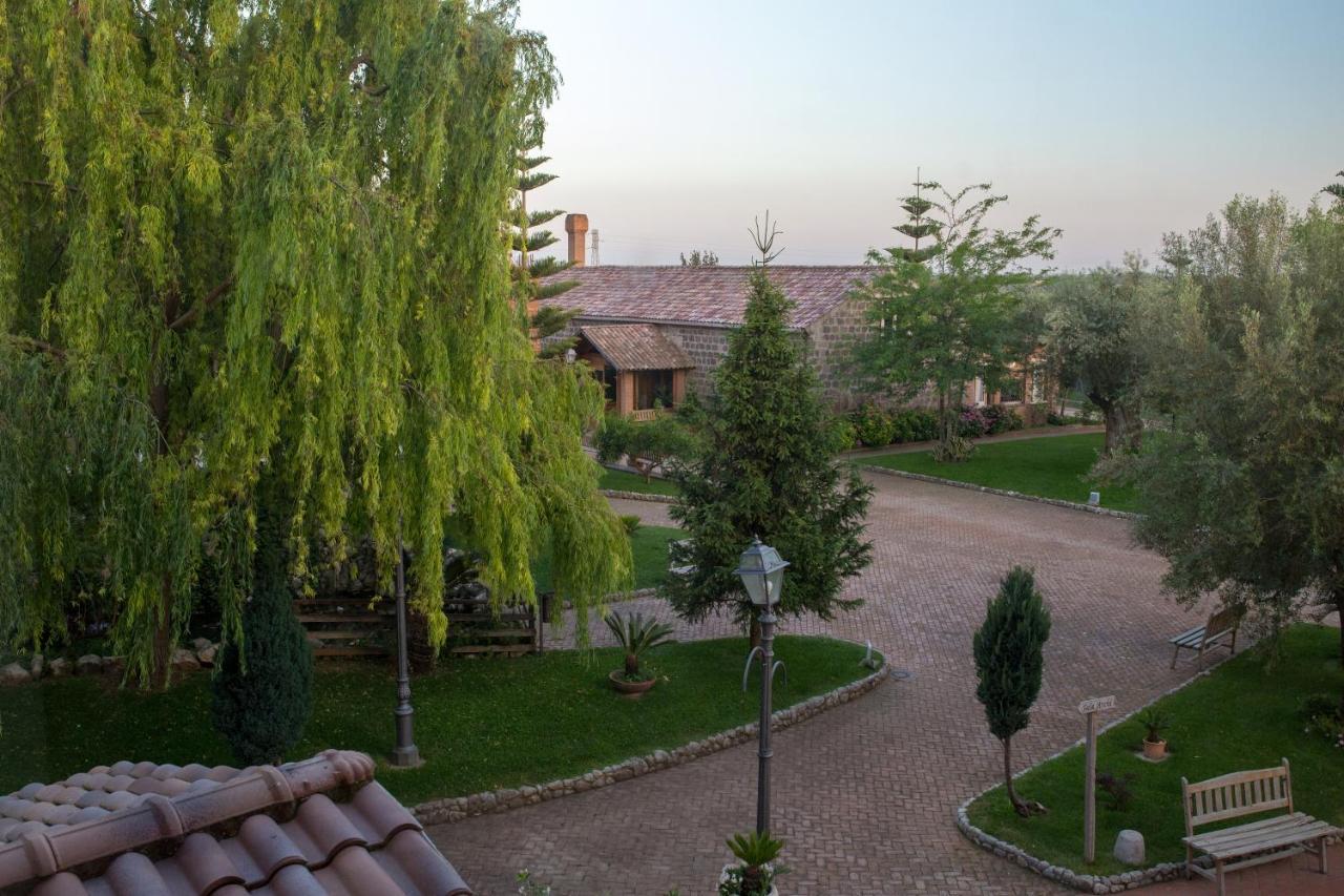 Tenuta Sciacca Villa Falciano del Massico Dış mekan fotoğraf